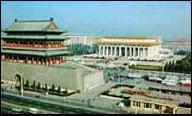 美丽的公鸡